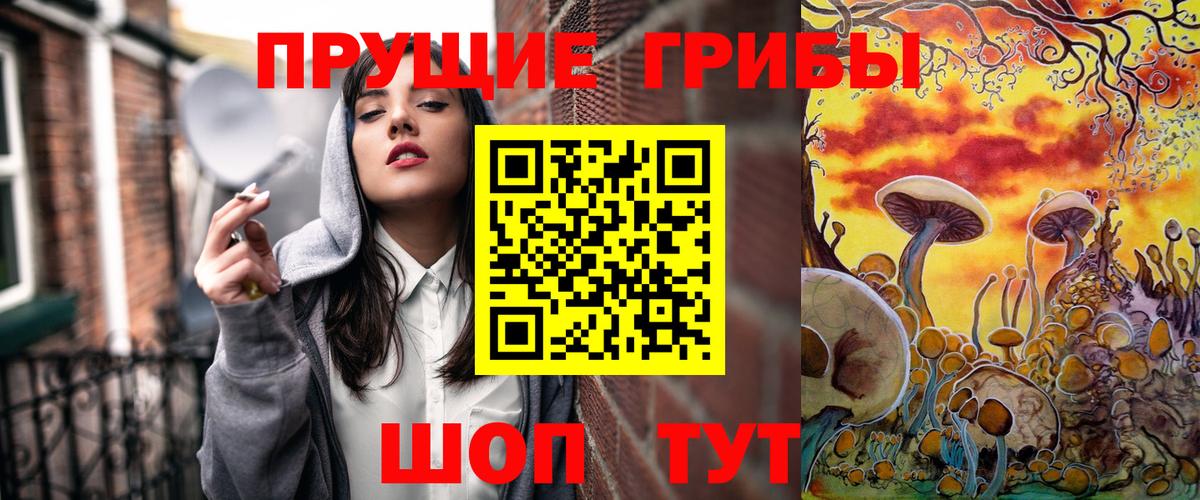 где найти   Вход с VPN  Реутов  Галлюциногенные грибы прущие грибы 
